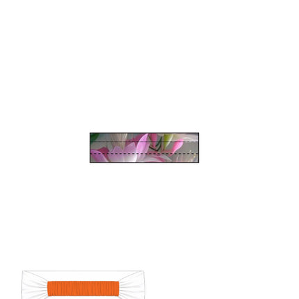 Back_2_c_17.jpg
