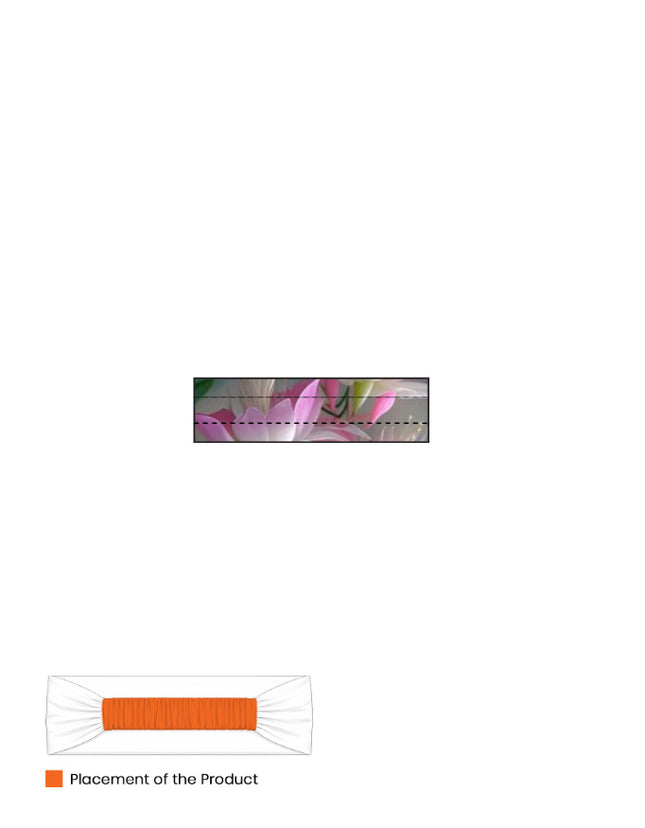 Back_2_c_17.jpg