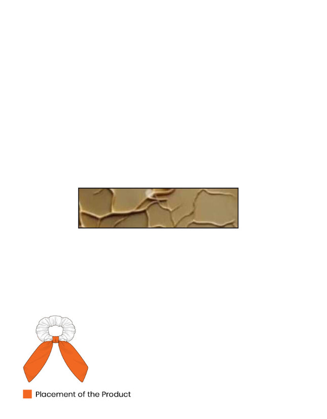 Back_2_c_17.jpg