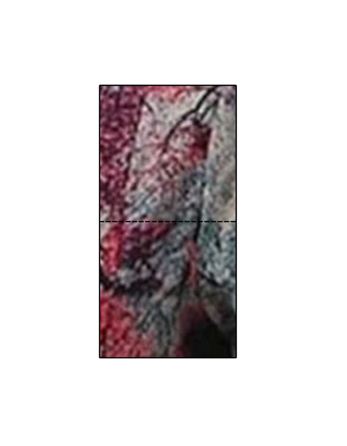 Front_1_c_17.jpg