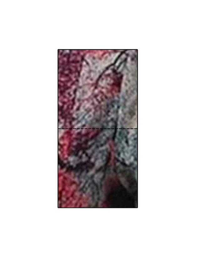 Front_1_c_17.jpg